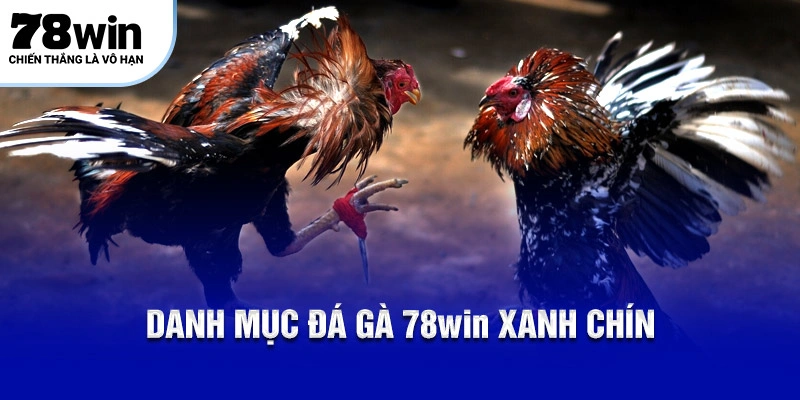 Danh mục đá gà 78WIN xanh chín