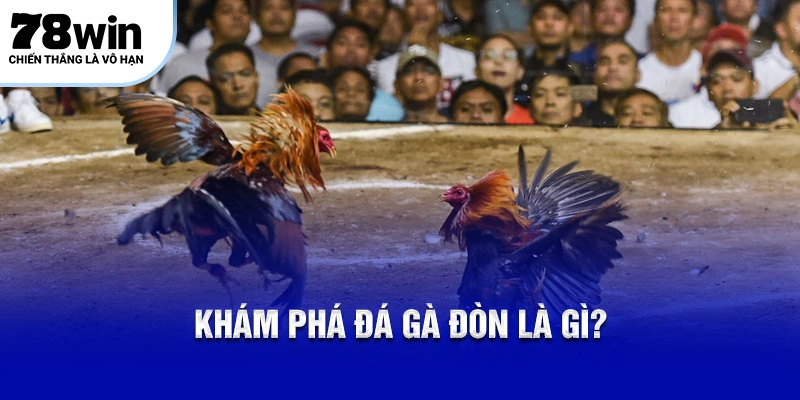 Khám phá đá gà đòn là gì?